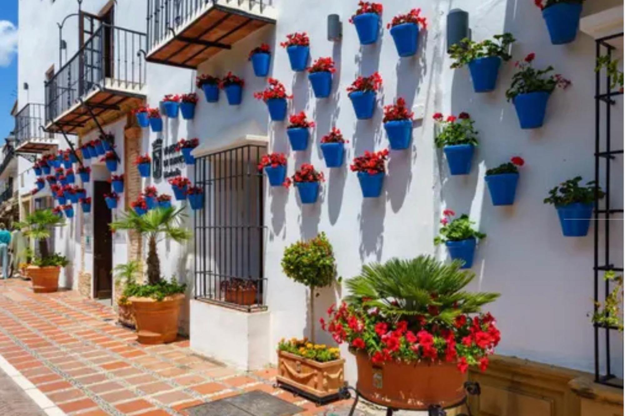 Beachfront- Junto A La Playa Y Con Impresionantes Vistas Al Mar Apartment
